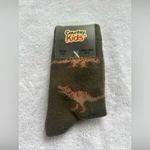 Country Kids Dinosaur Socks
